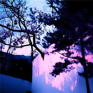 日本强奷中文字幕在线播放
